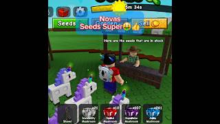 NOVAS SEEDS SUPER🤑👍