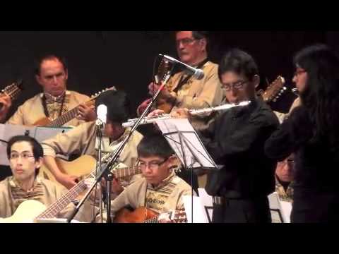 La oración del Mitayo — Orquesta de Charangos La Paz
