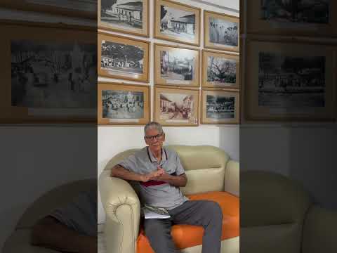 Nuestro Samán cumple 137 años ✨🌳