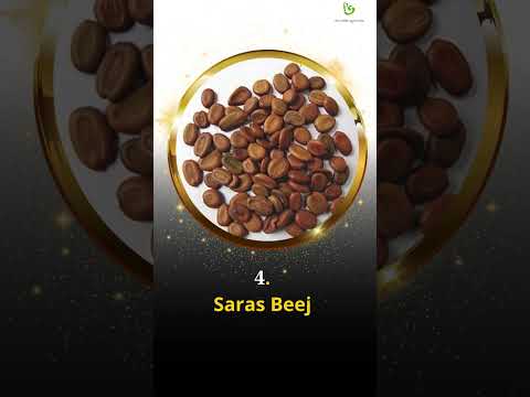 9 Ingredients of Pharma Science Best Ayurvedic Pain Oil Medicine: Vata Cure #painreliefoil