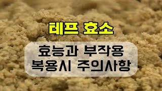 테프효소 효능과 부작용 복용시 주의사항은?