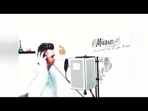 Gabi  Andronesi - Biruitor...