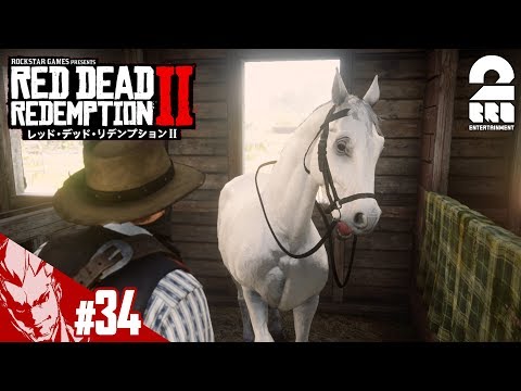 #34【TPS】弟者の「レッド・デッド・リデンプション2」【2BRO.】