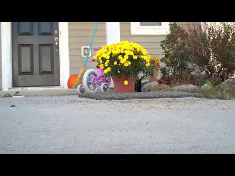 download lagu mp3 mp4 Keeping Dirt Out Of The House, download lagu Keeping Dirt Out Of The House gratis, unduh video klip Keeping Dirt Out Of The House