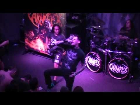 Video thumbnail for Entombed Monarch