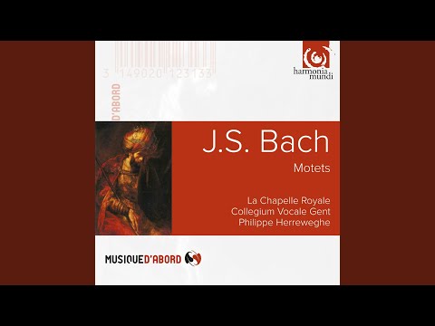 Komm, Jesu, komm, BWV 229