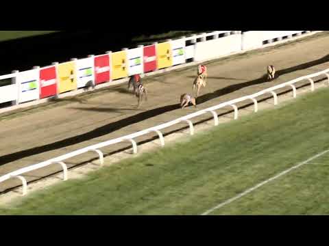 2022.05.20. 08. futam - Májusi Trófea