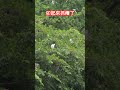 ｜卯起來抓癢了 #shorts |