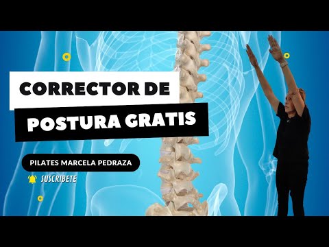 CORRECTOR DE POSTURA GRATIS