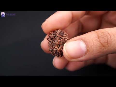 Rudraksha Product Image