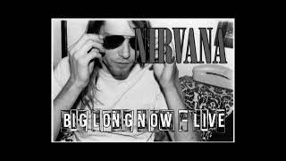 Nirvana - Big Long Now - LIVE! (audio only)