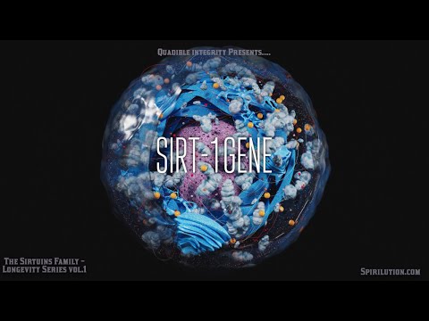 [Longevity Music Series Vol.]  ★SIRT-1 Gene Activation★ (The Sirtuins Family)