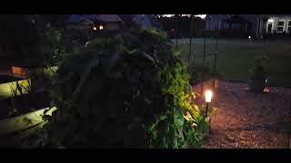 Garden After Dark | You Need to See This