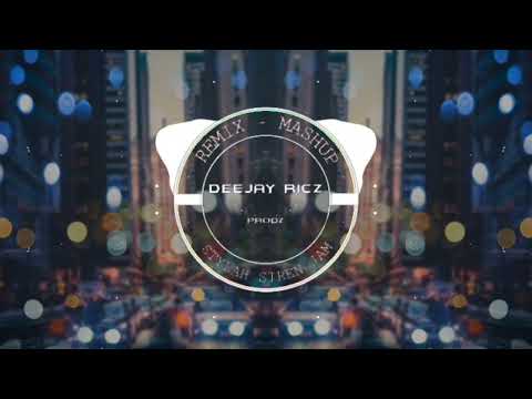 Ub40 x Vania Toloa - [ Party Mashup ] RICZ MUSIC .prodz