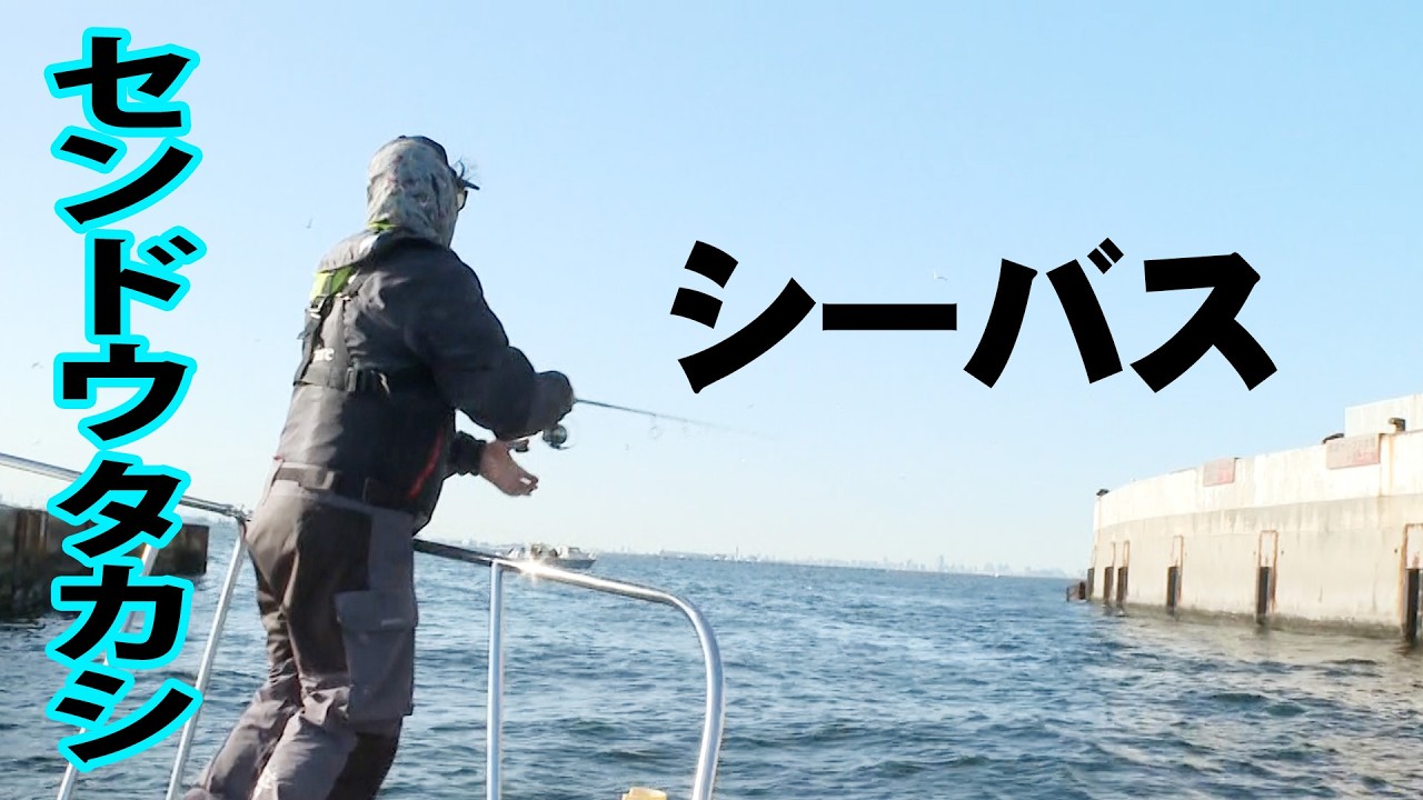 東京湾で楽しむシーバスフィッシング！東京＆神奈川をぶらり！ 『ぶらりバスの旅 55』最新作を特別公開♪【釣りビジョン】