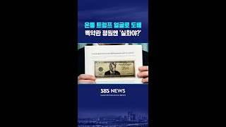 250달러 지폐에 '트럼프 머그샷' #shorts