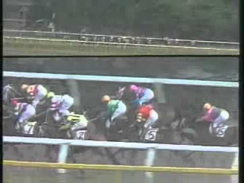 1984 Tokyo Yushun (Japanese Derby) - Symboli Rudolf