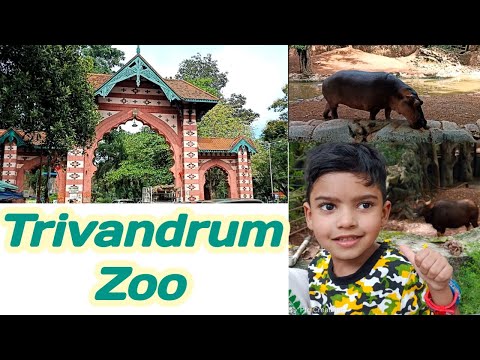 Trivandrum Zoo & Museum ll Anaconda Snake park ll Animals at Trivandrum Zoo ll Ptg Creations