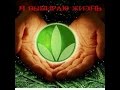 Где бы я был без Herbalife! 