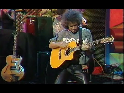 DOC (Rai 1987-1989) - Pat Metheny Group: First Circle (1988)