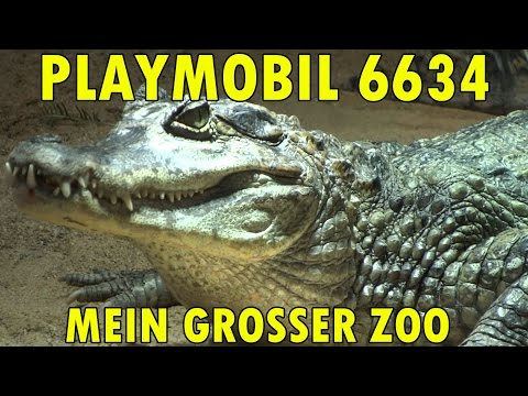 "PLAYMOBIL 6634 MY BIG ZOO + PETTING ZOO + ZOO VEHICLE" - Presentation with real animals!