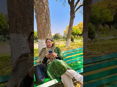 #hakimabintefatima #travel