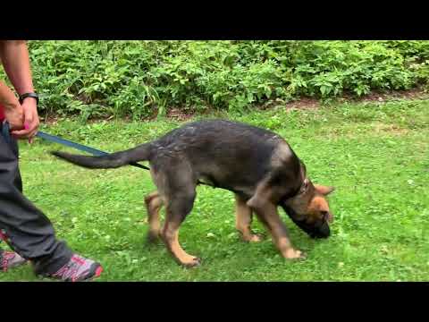 Wiper Mineo - tracking 3,5 months