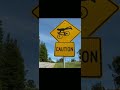 weirdest road signs