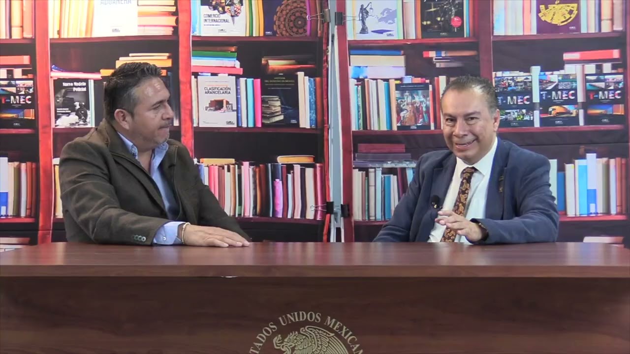 Estructura de una Agencia Aduanal. Puestos