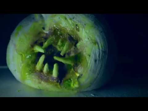 L'ATTAQUE DES DONUTS TUEURS - Bande Annonce VF