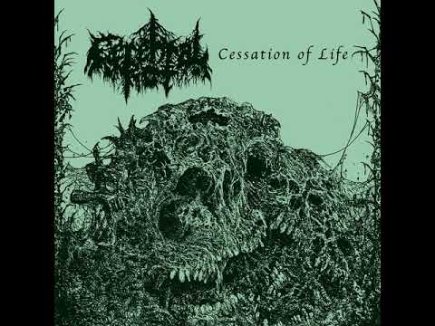 Cerebral Rot - Cerebral Rot