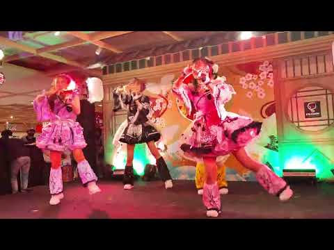 Castella : จือดื่อดึดจือ @ Nippon Market - Central World【4K 60FPS】