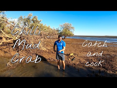 Pilbara Mud Crabs - Catch and Cook Chilli Crab (The Pilbara Sessions Ep 4: The Mangroves)