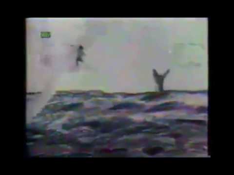 LP Bebê a Bordo Nacional - 1988