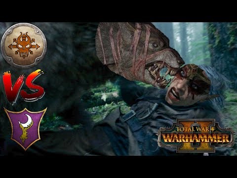 MAN THE HARPOOOONS | Dark Elves vs Norsca - Total War Warhammer 2