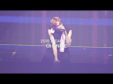 2018 세븐틴 IDEAL CUT 콘서트 버논(VERNON) 아주 나이스 Very Nice