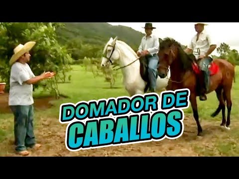 Agapito Díaz  -  Domador de caballos