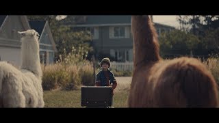 Llamas and a Little Boy star in "The Performance" - A holiday short film from Cost Plus World Market