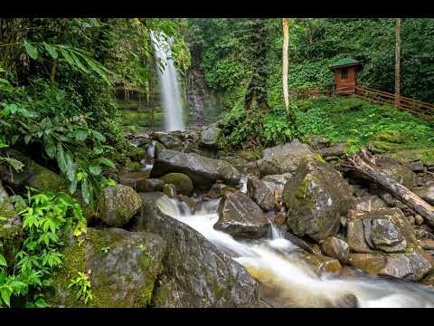 The Salt Trail Crocker Range Sabah