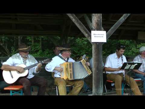 Volksmusiktag 2014 / Obernheimer Danzmusik / Halterbua Marsch