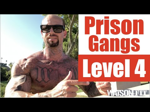 California Prison Gangs- Level 4