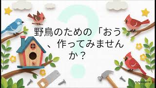 野鳥の巣箱作り：DIYでバードハウスを【鳥ビア】