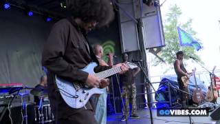 Fishbone performs &quot;Alcoholic&quot; at Gathering of the Vibes Music Festival