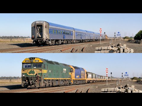 6MA8 Overland Passenger Train Crosses Pacific National 7732V Grain Train (2/5/2025) - PoathTV