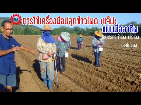 คลิกเพื่อดูคลิปวิดีโอ