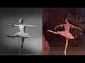 Evolution Of Sugarplum Over The Years Mariinsky