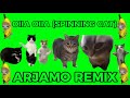 W&W - OIIA OIIA (Spinning Cat) - ARJAMO REMIX