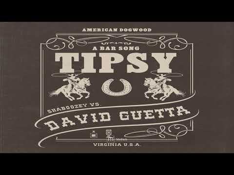 Shaboozey feat. David Guetta - A Bar Song (Tipsy) [Remix]