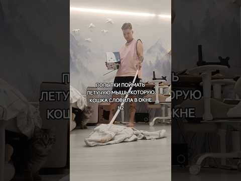 Попытки поймать Летучую Мышь. Часть 2 🙈 Автор: dalshe_sami