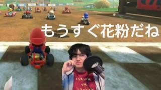 花粉の季節#マリオカートワールド